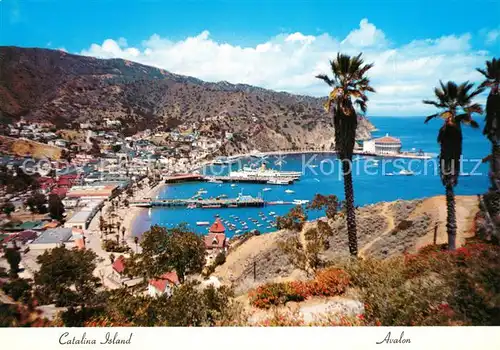 AK / Ansichtskarte Avalon_California Panorama Harbour Coast 