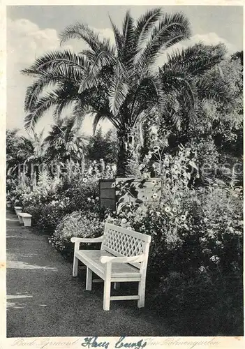 AK / Ansichtskarte Bad_Pyrmont Partie im Palmengarten Bad_Pyrmont
