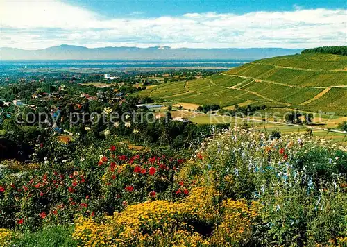 AK / Ansichtskarte Badenweiler Panorama Kurort im Schwarzwald Roemerberg Rheintal Vogesen Badenweiler