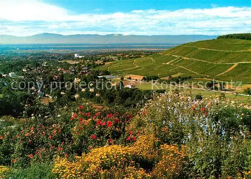 AK / Ansichtskarte Badenweiler Panorama Kurort im Schwarzwald Roemerberg Rheintal Vogesen Badenweiler