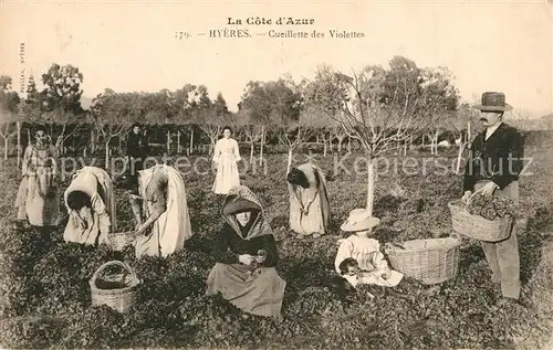 AK / Ansichtskarte Hyeres_les_Palmiers Cueillette des Violettes Hyeres_les_Palmiers