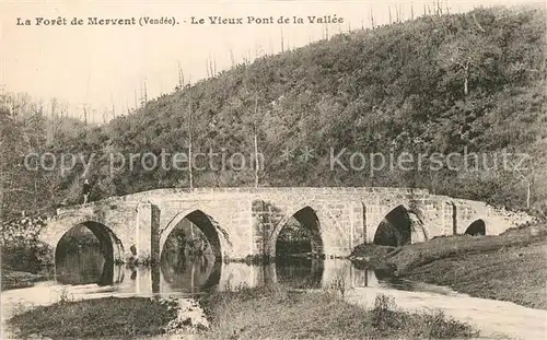 AK / Ansichtskarte Mervent Foret de Mervent Vieux pont de la vallee Mervent