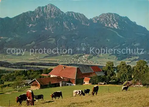 AK / Ansichtskarte Strobl Strobl Alm am Hoegel mit Hochstaufen Zwiesel Aufham Chiemgauer Alpen Strobl