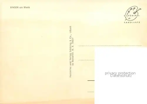 AK / Ansichtskarte Bingen_Rhein Panorama Bingen Rhein