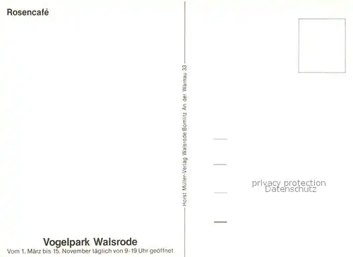 AK / Ansichtskarte Walsrode_Lueneburger_Heide Vogelpark Rosencafe Walsrode_Lueneburger_Heide