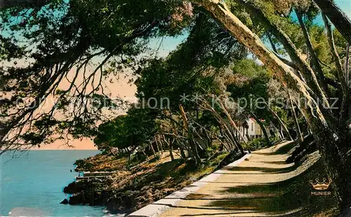 AK / Ansichtskarte Menton_Alpes_Maritimes Sous bois au Cap Martin Menton_Alpes_Maritimes