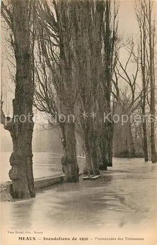 AK / Ansichtskarte Meaux_Seine_et_Marne Inondations de 1920 Promenades des Trinitaires Meaux_Seine_et_Marne