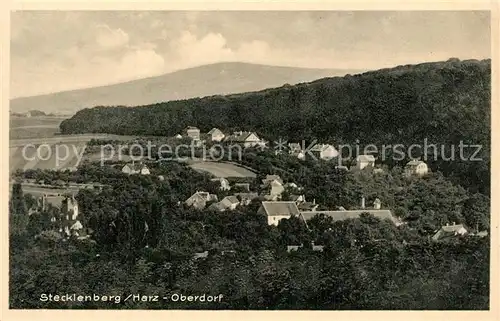 AK / Ansichtskarte Stecklenberg  Stecklenberg
