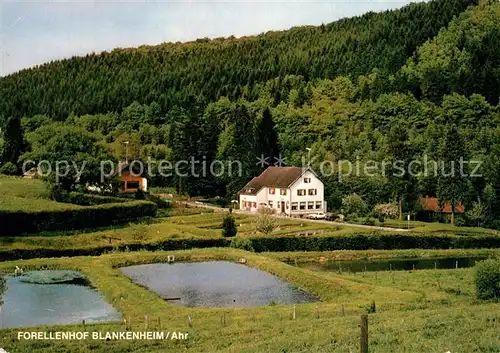 AK / Ansichtskarte Blankenheim_Ahr Forellenhof Blankenheim_Ahr