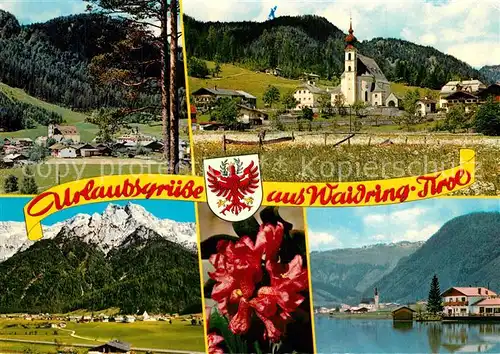 AK / Ansichtskarte Waidring_Tirol Pillsersee Alpenrosen Waidring Tirol