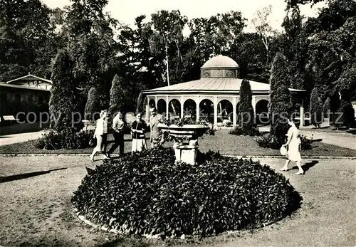 AK / Ansichtskarte Frantiskovy_Lazne Luisa Spring Frantiskovy_Lazne