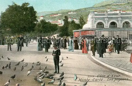 AK / Ansichtskarte Monte Carlo Les pigeons Monte Carlo