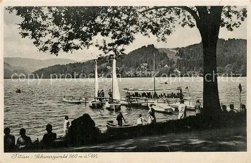 AK / Ansichtskarte Titisee Seepanorama Titisee