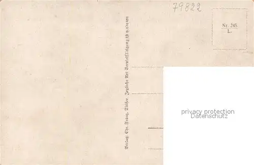 AK / Ansichtskarte Titisee Seepanorama Titisee