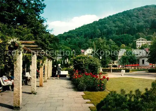 AK / Ansichtskarte Bad_Harzburg Partie im Badepark Bad_Harzburg