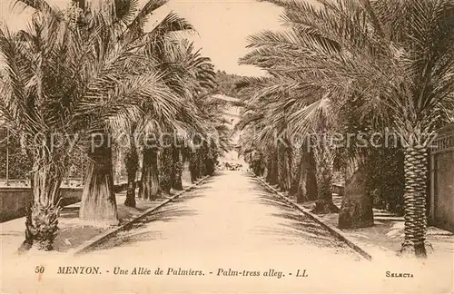 AK / Ansichtskarte Menton_Alpes_Maritimes Une Allee de Palmiers  Menton_Alpes_Maritimes