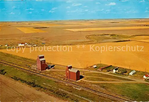 AK / Ansichtskarte Saskatchewan Harvest Erntezeit Fliegeraufnahme Saskatchewan