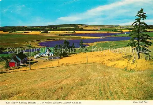 AK / Ansichtskarte Prince_Edward_Island Panorama landscape Clinton Height 