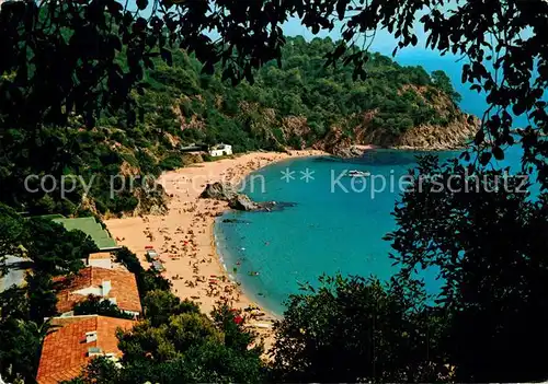 AK / Ansichtskarte Cala_Canyellas Badestrand Bucht Cala_Canyellas