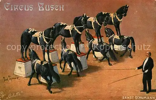 AK / Ansichtskarte Verlag_Tucks Circus Busch Pferde Ernst Schumann  