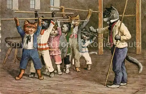 AK / Ansichtskarte Vermenschlicht Katzen Turnen  