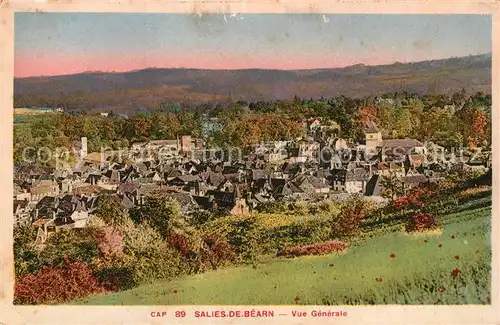 AK / Ansichtskarte Salies de Bearn Panorama Salies de Bearn