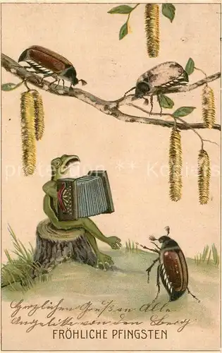 AK / Ansichtskarte Pfingsten_Pentecost_Pentecote Vermenschlicht Frosch Maik?fer Ziehharmonika Litho 