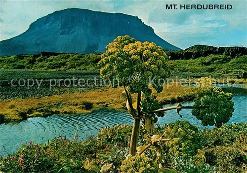AK / Ansichtskarte Island Mount Herdubreid Landschaftspanorama Island