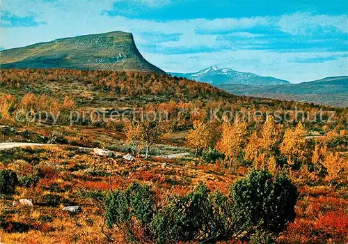 AK / Ansichtskarte Norrland_Schweden Fargernas Land Landschaftspanorama Herbststimmung 