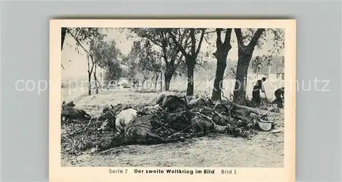 AK / Ansichtskarte Militaria_Deutschland_WK2 Von N?rnberg bis Stalingrad Blitzkrieg gegen Polen Kesselschlacht Eilebrecht Zigaretten 