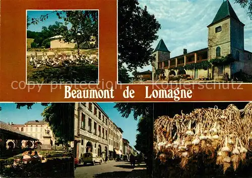 AK / Ansichtskarte Beaumont de Lomagne Vue partielle Beaumont de Lomagne