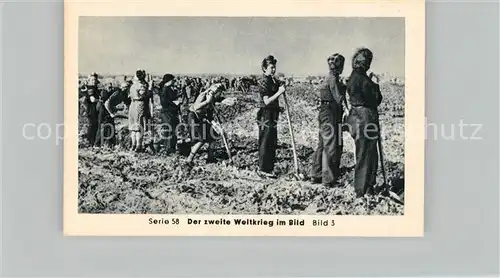 AK / Ansichtskarte Militaria_Deutschland_WK2 Von Stalingrad bis N?rnberg Das letzte Aufgebot Befestigungen Eilebrecht Zigaretten 