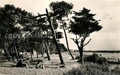 AK / Ansichtskarte Saint Brevin les Pins Les Pins en bordure de la plage Saint Brevin les Pins