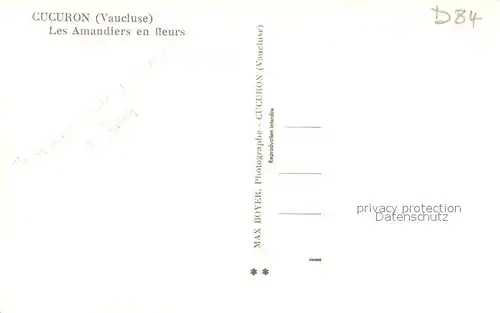 AK / Ansichtskarte Cucuron Les Amandiers en fleurs Cucuron