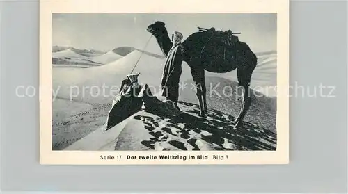 AK / Ansichtskarte Militaria_Deutschland_WK2 Von N?rnberg bis Stalingrad Afrika Krieg in der W?ste Eilebrecht Zigaretten 
