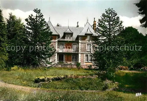 AK / Ansichtskarte Ally_Cantal Chateau Lafonclaire Ally Cantal