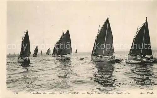 AK / Ansichtskarte Segelboote Industrie Sardiniere en Bretagne Bateaux 