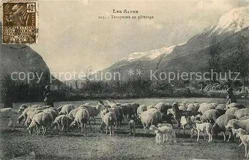 AK / Ansichtskarte Schafe Troupeaux au Paturage Alpes  