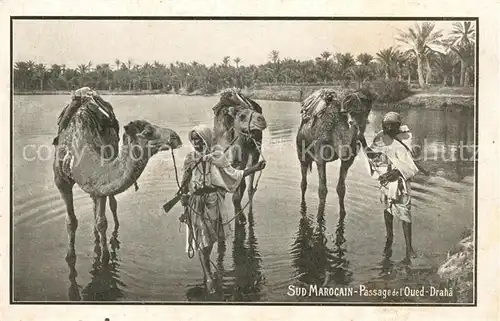 AK / Ansichtskarte Kamele Sud Marocain Passage de l Oued Draha 