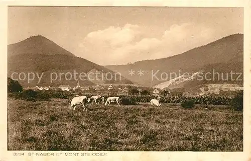 AK / Ansichtskarte Saint Nabor Mont Ste Odile Saint Nabor