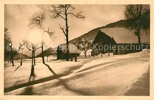 AK / Ansichtskarte Megeve Effet de neige Megeve