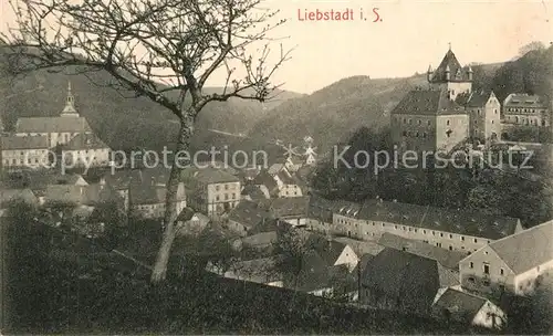 AK / Ansichtskarte Liebstadt Schloss Kuckuckstein Liebstadt
