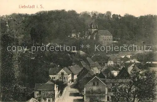 AK / Ansichtskarte Liebstadt Schloss Kuckuckstein Liebstadt