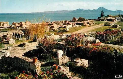 AK / Ansichtskarte Carthage_Karthago Les Ruines Carthage Karthago