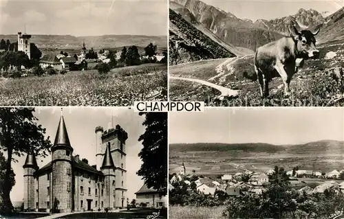AK / Ansichtskarte Champdor Vue generale Chateau Paturage Champdor