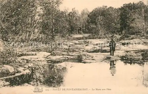 AK / Ansichtskarte Fontainebleau_Seine_et_Marne La Mare aux Fees Fontainebleau_Seine