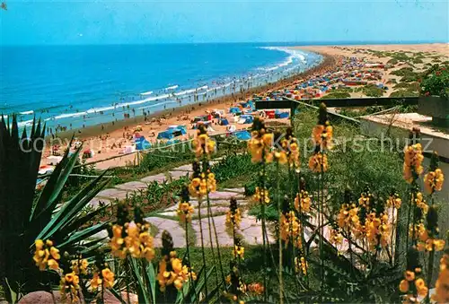 AK / Ansichtskarte Gran_Canaria Playa de Ingles  Gran Canaria