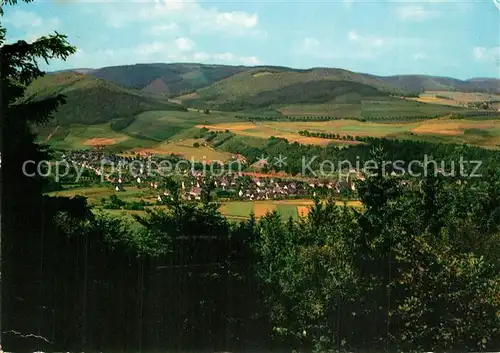 AK / Ansichtskarte Siedlinghausen Panorama Siedlinghausen