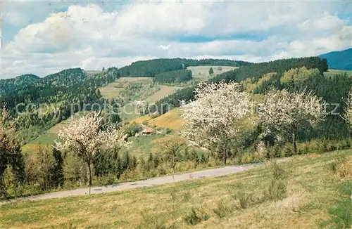 AK / Ansichtskarte St_Peter_Schwarzwald Weg nach Lindenberg Panorama St_Peter_Schwarzwald