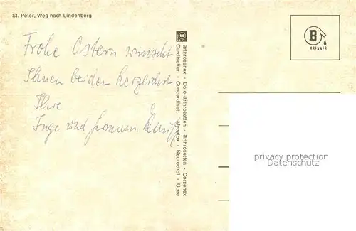 AK / Ansichtskarte St_Peter_Schwarzwald Weg nach Lindenberg Panorama St_Peter_Schwarzwald